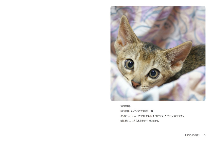 フォトブック 2ページ目