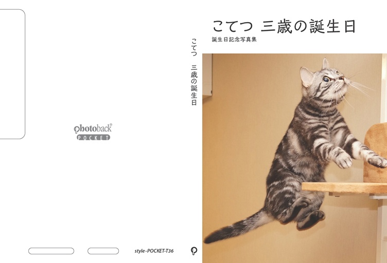 フォトブック ジャケット