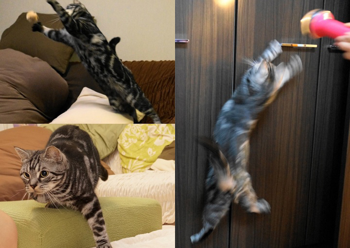フォトブック 32ページ目