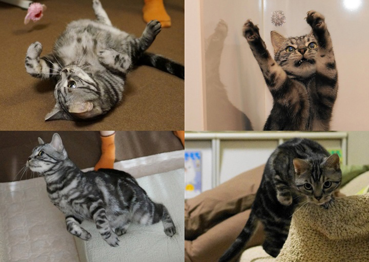 フォトブック 4ページ目