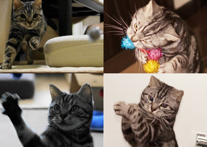 フォトブック 6ページ目