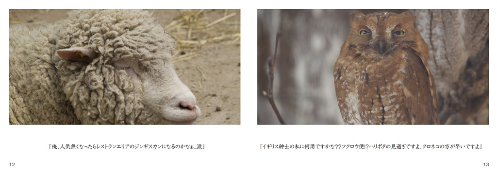 フォトブック 12ページ目