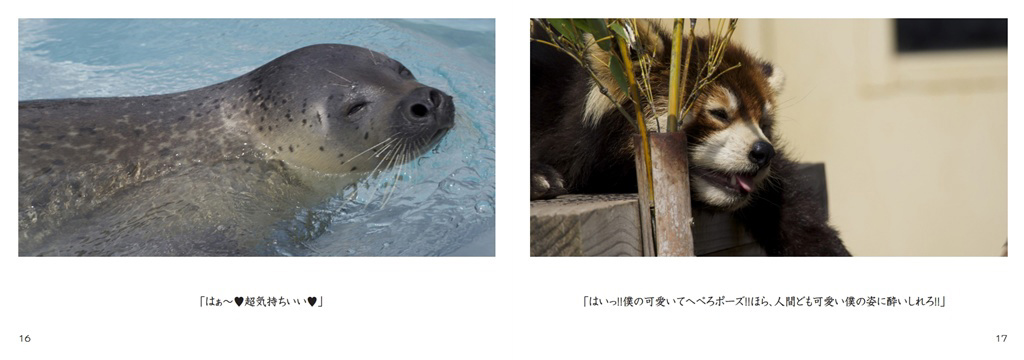 フォトブック 16ページ目