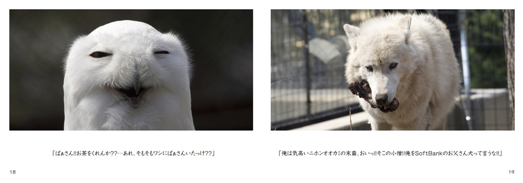 フォトブック 18ページ目
