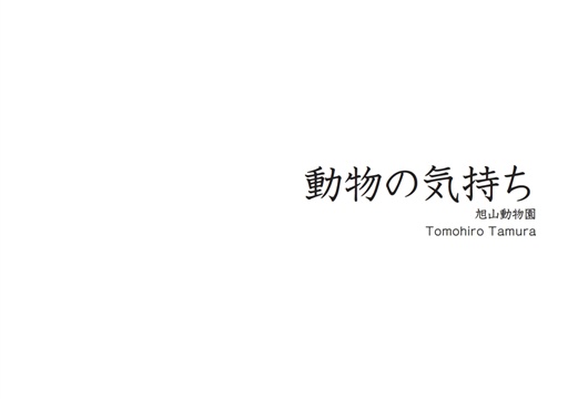フォトブック 扉