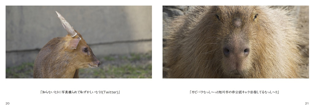 フォトブック 20ページ目