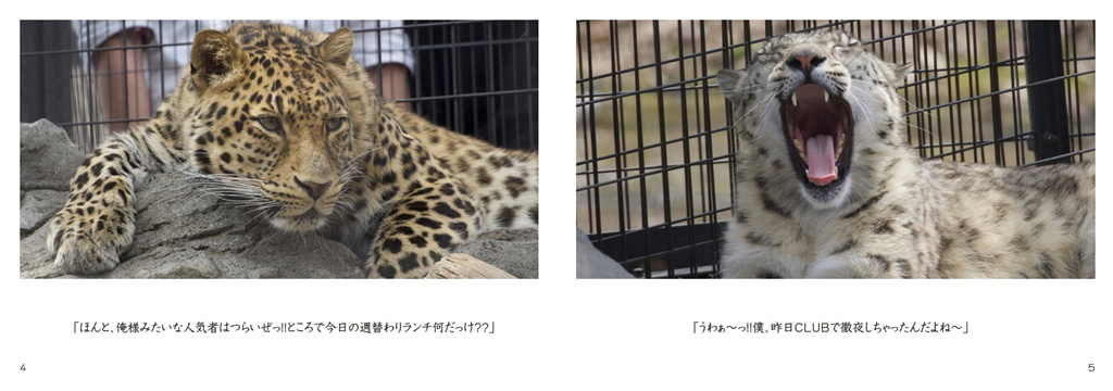 フォトブック 4ページ目