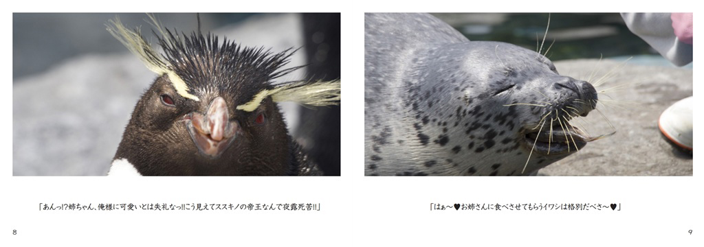 フォトブック 8ページ目