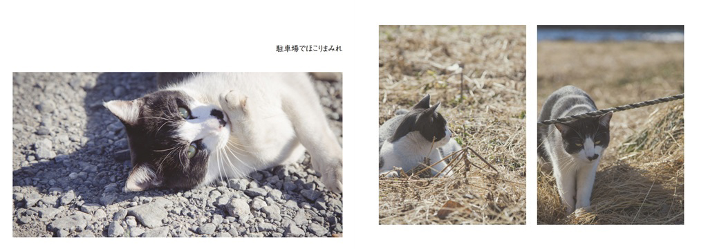 フォトブック 22ページ目
