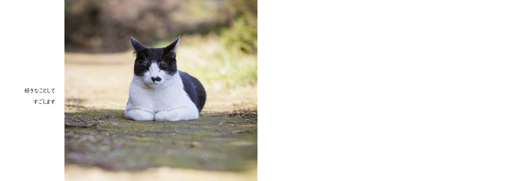 フォトブック 34ページ目