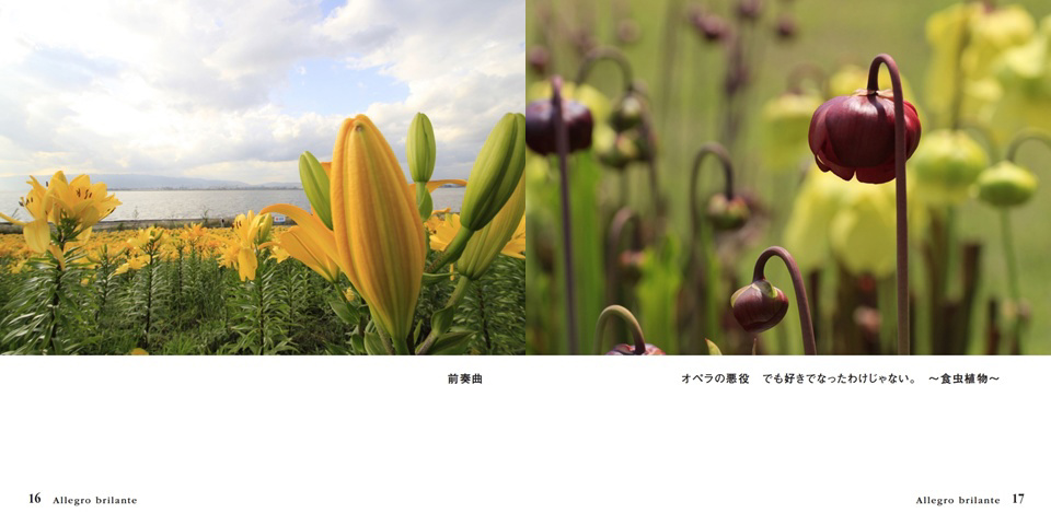 フォトブック 16ページ目