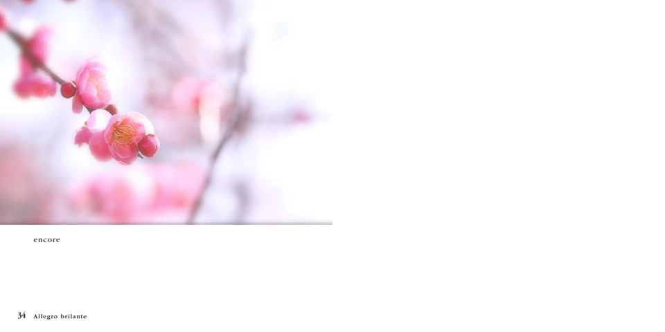 フォトブック 34ページ目