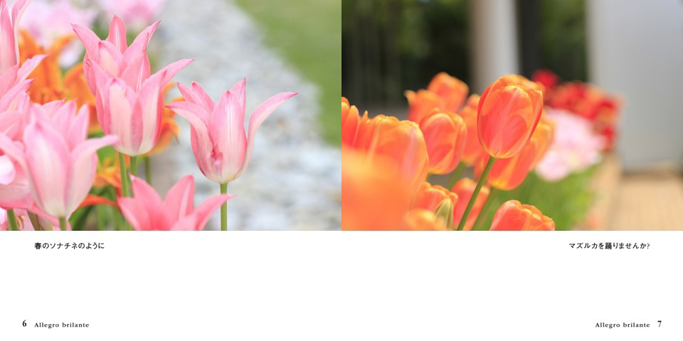フォトブック 6ページ目