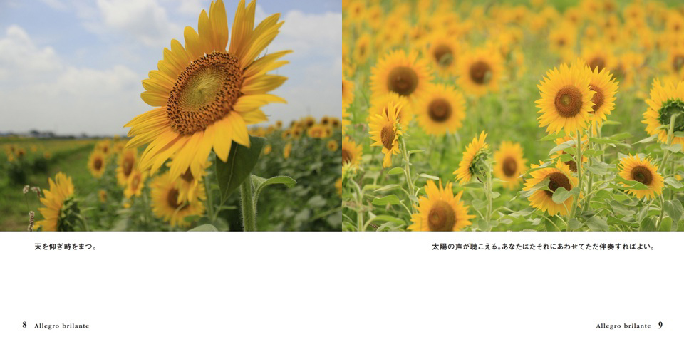 フォトブック 8ページ目