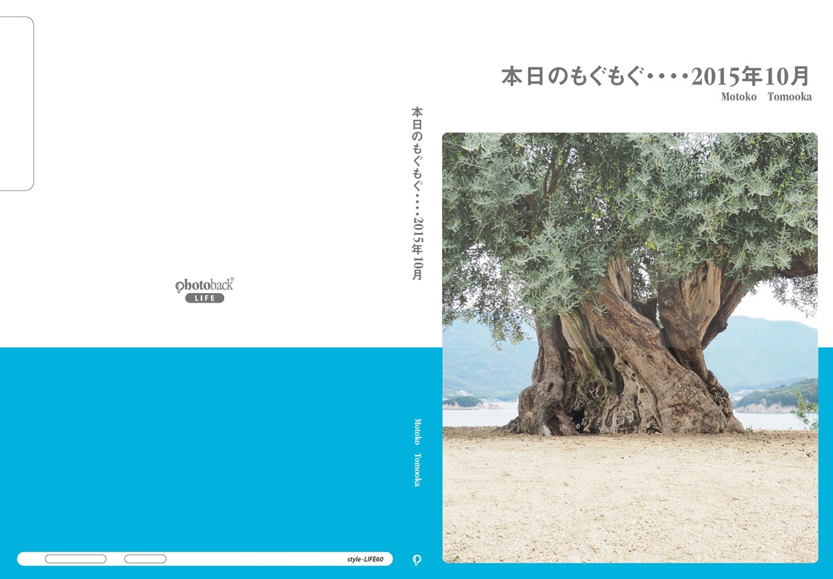 フォトブック ジャケット