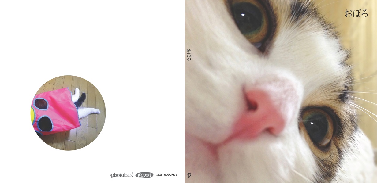フォトブック ジャケット