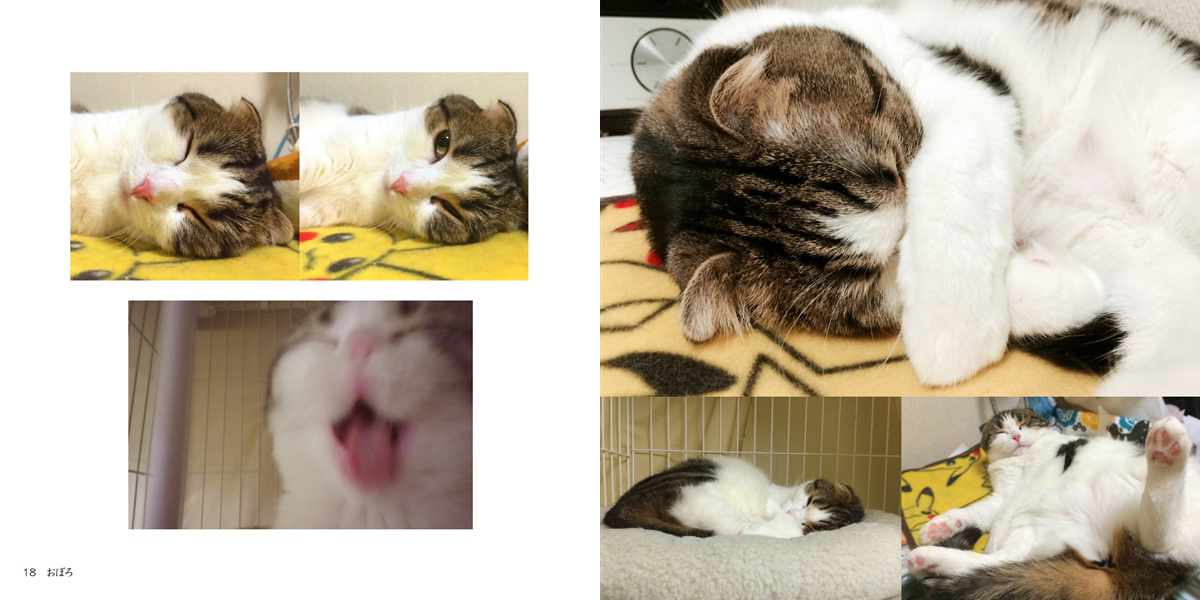 フォトブック 18ページ目