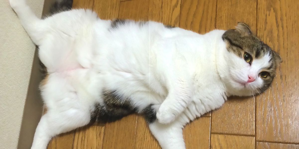 フォトブック 8ページ目