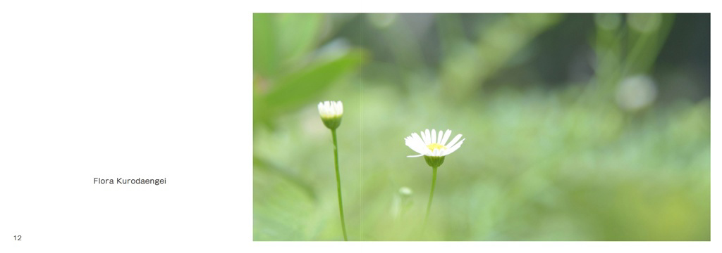 フォトブック 12ページ目