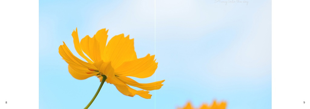 フォトブック 8ページ目