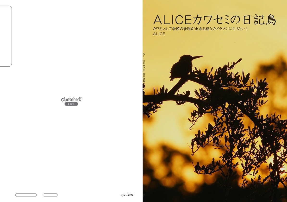 フォトブック ジャケット