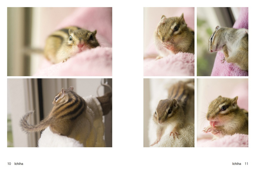 フォトブック 10ページ目