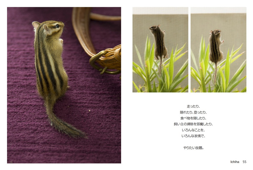 フォトブック 54ページ目