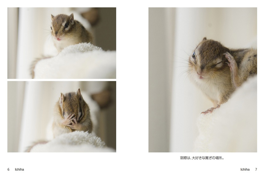 フォトブック 6ページ目
