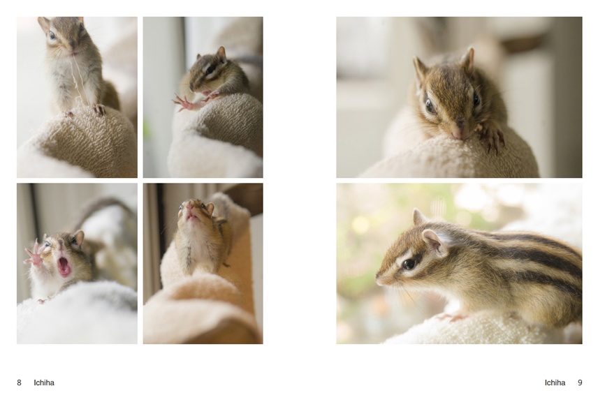 フォトブック 8ページ目