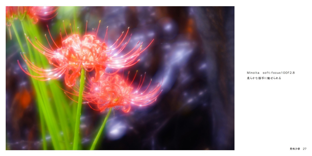 フォトブック 26ページ目