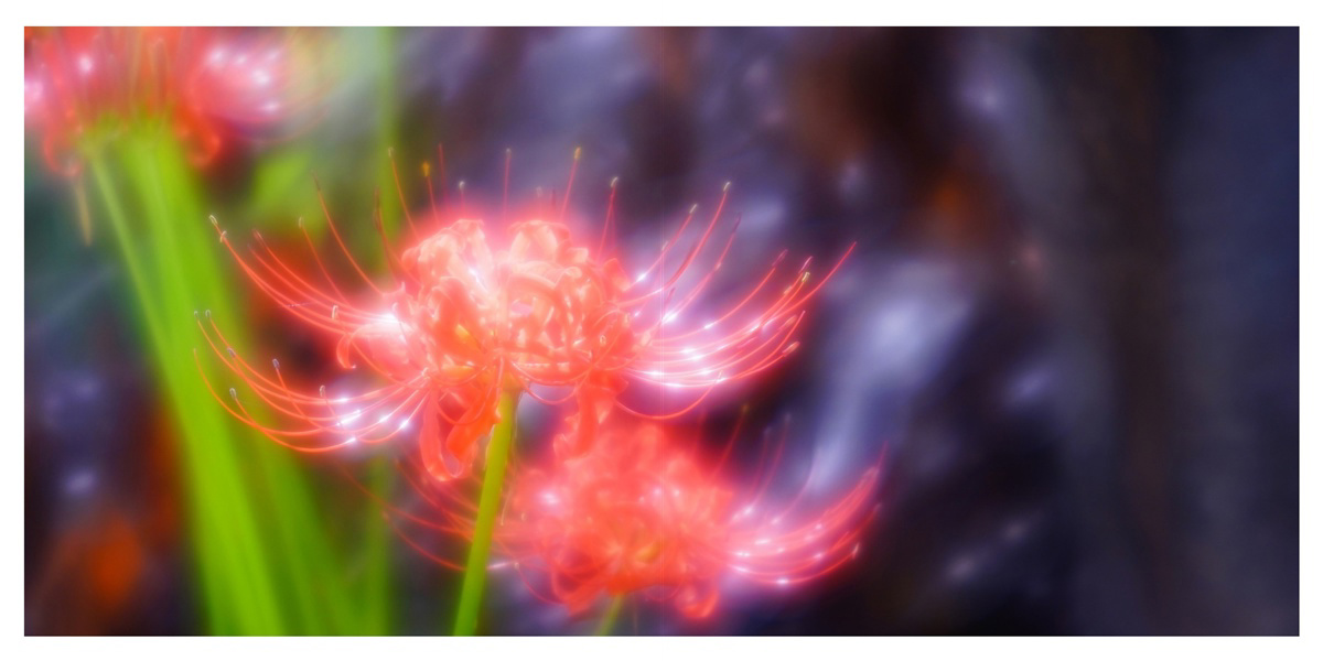 フォトブック 32ページ目