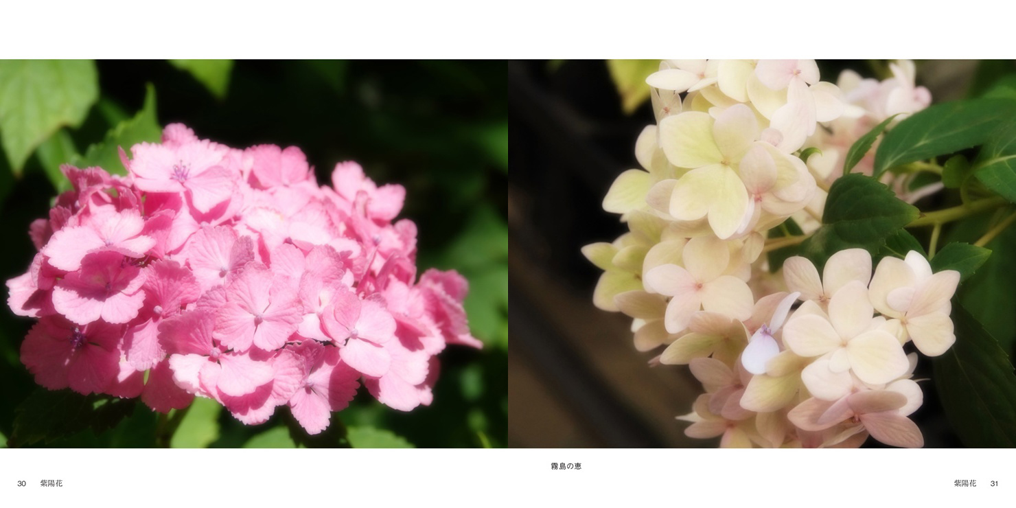 フォトブック 30ページ目