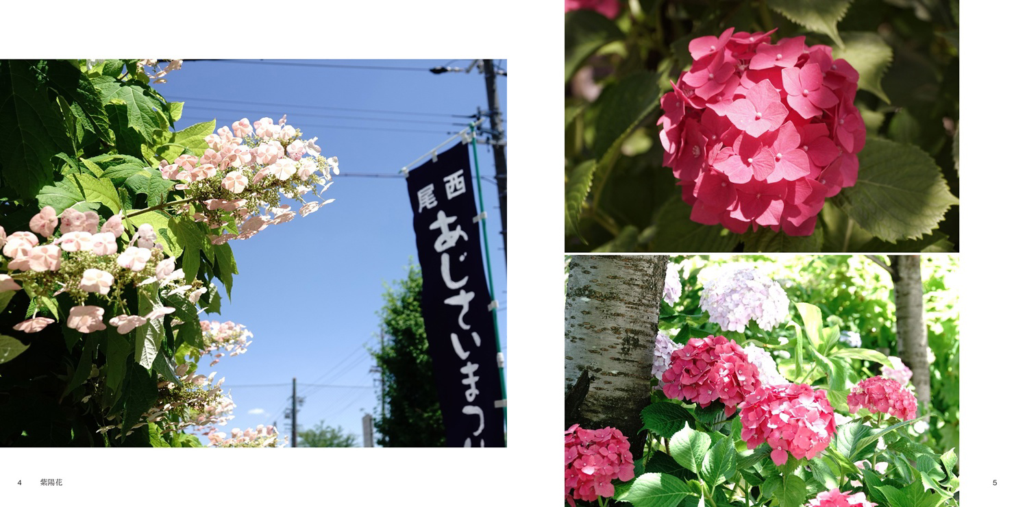 フォトブック 4ページ目