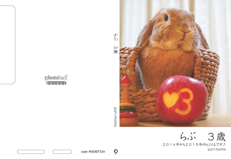 フォトブック ジャケット