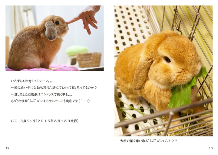 フォトブック 12ページ目