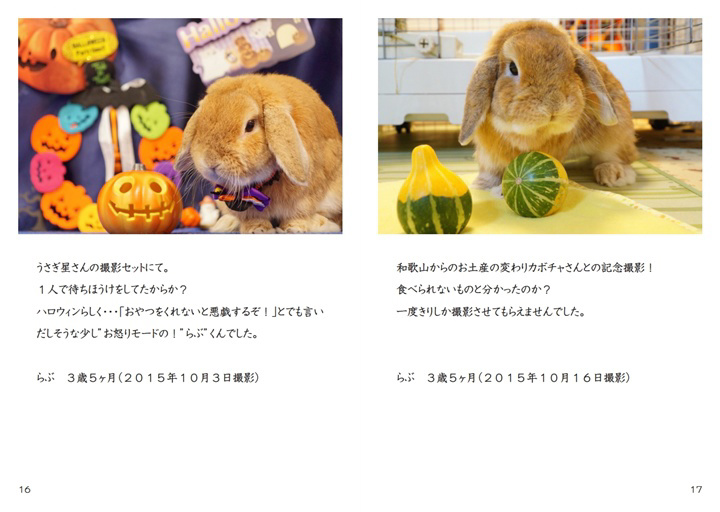 フォトブック 16ページ目