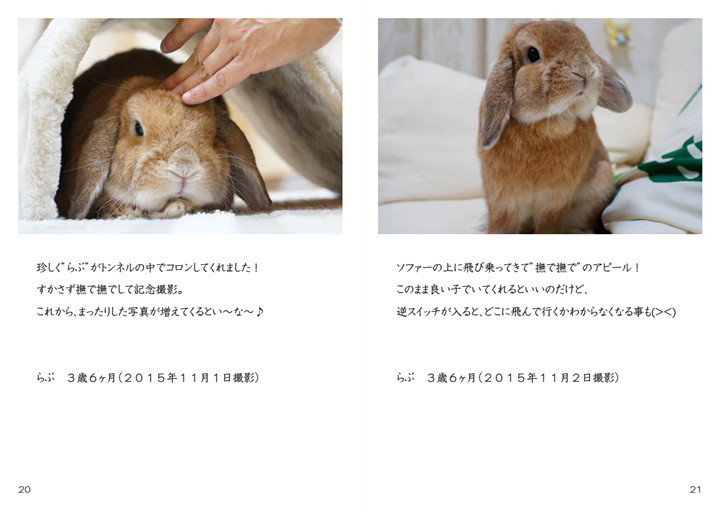 フォトブック 20ページ目