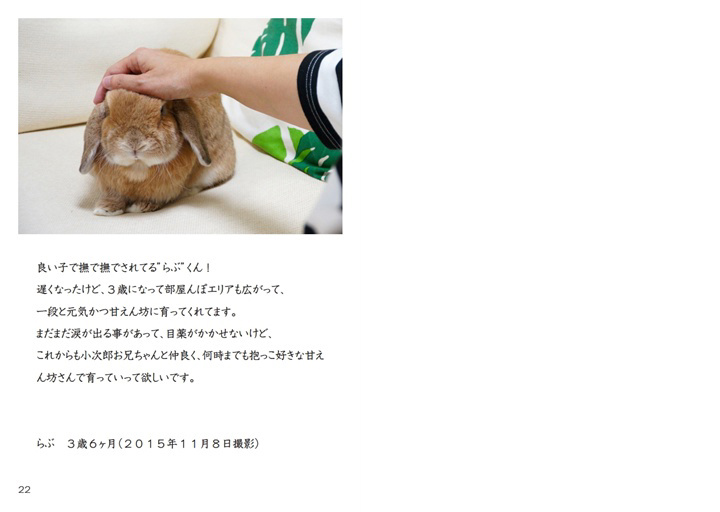 フォトブック 22ページ目