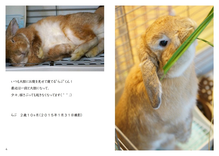 フォトブック 4ページ目