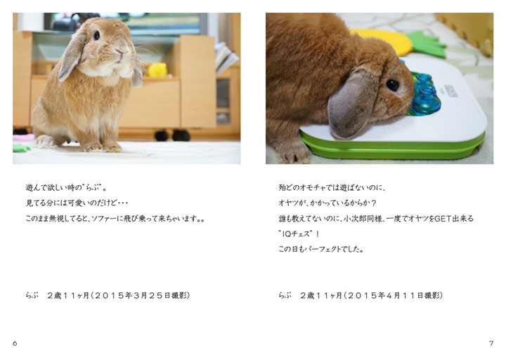 フォトブック 6ページ目