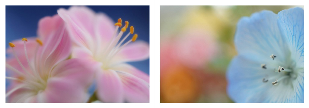 フォトブック 4ページ目
