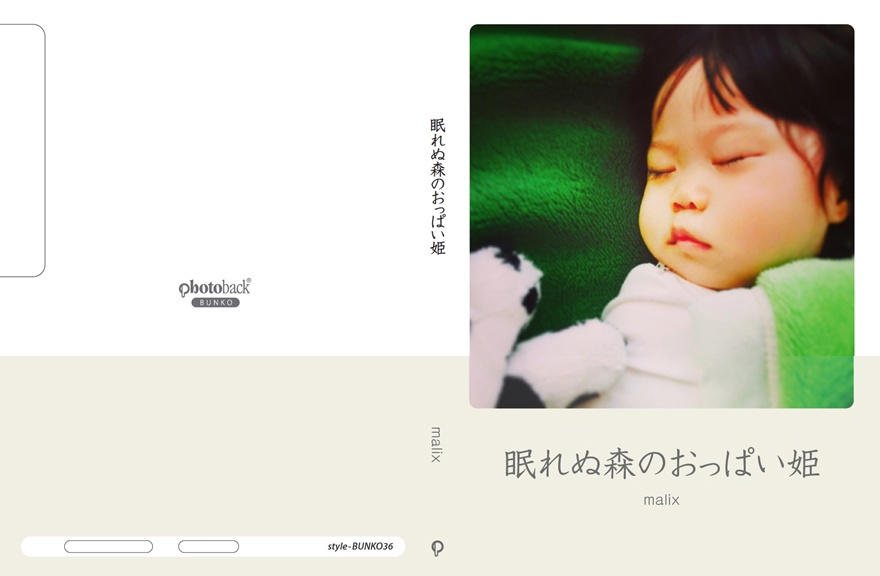 フォトブック ジャケット