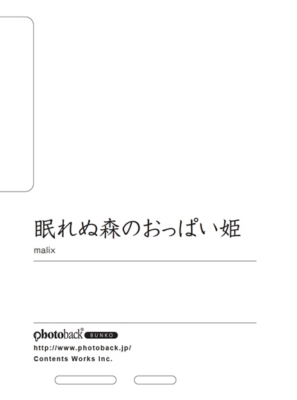 フォトブック ジャケット裏