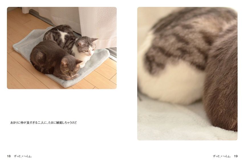 フォトブック 18ページ目