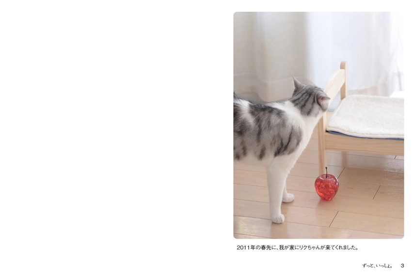 フォトブック 2ページ目