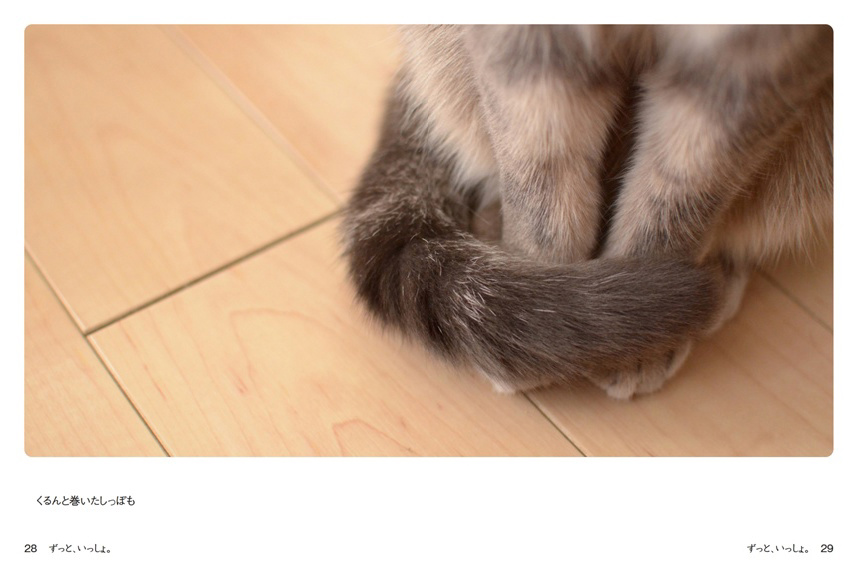 フォトブック 28ページ目