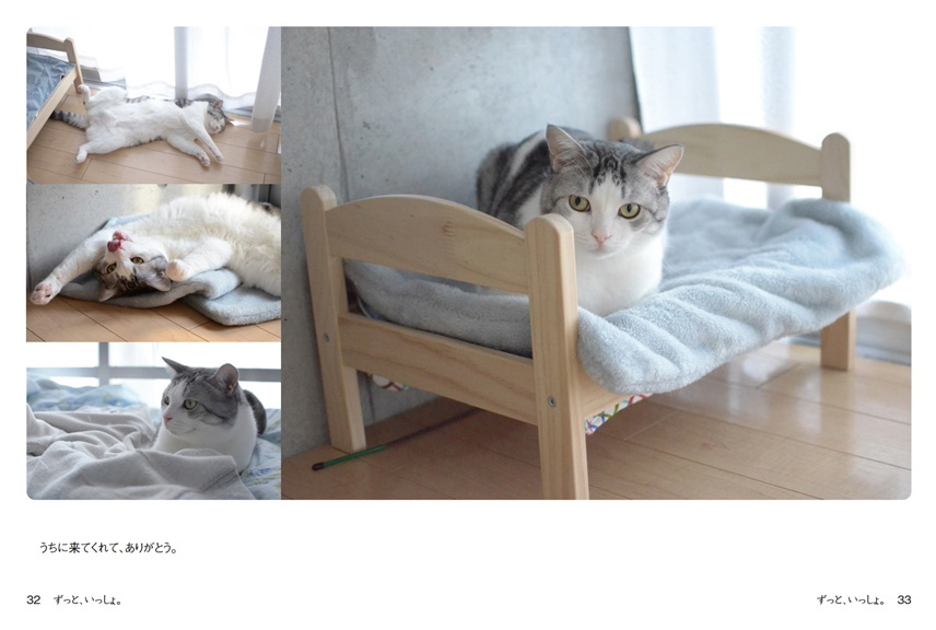 フォトブック 32ページ目