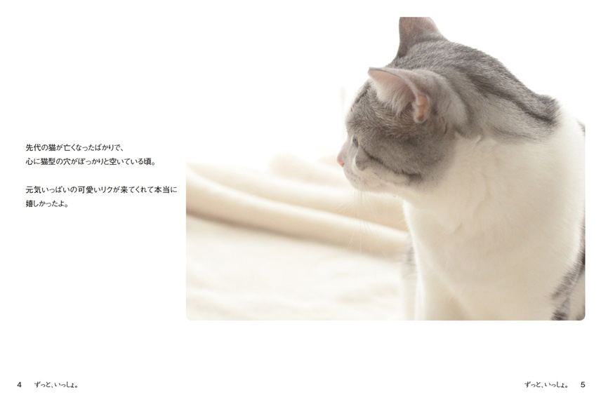 フォトブック 4ページ目
