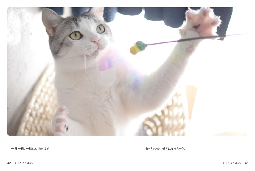 フォトブック 42ページ目