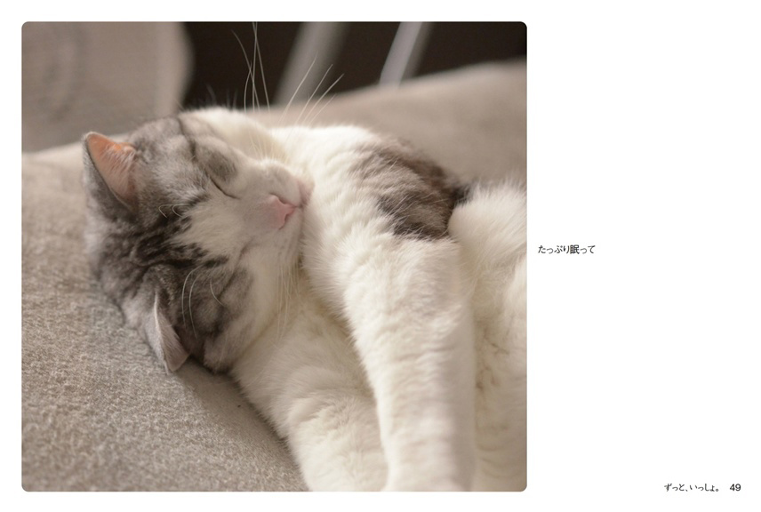 フォトブック 48ページ目